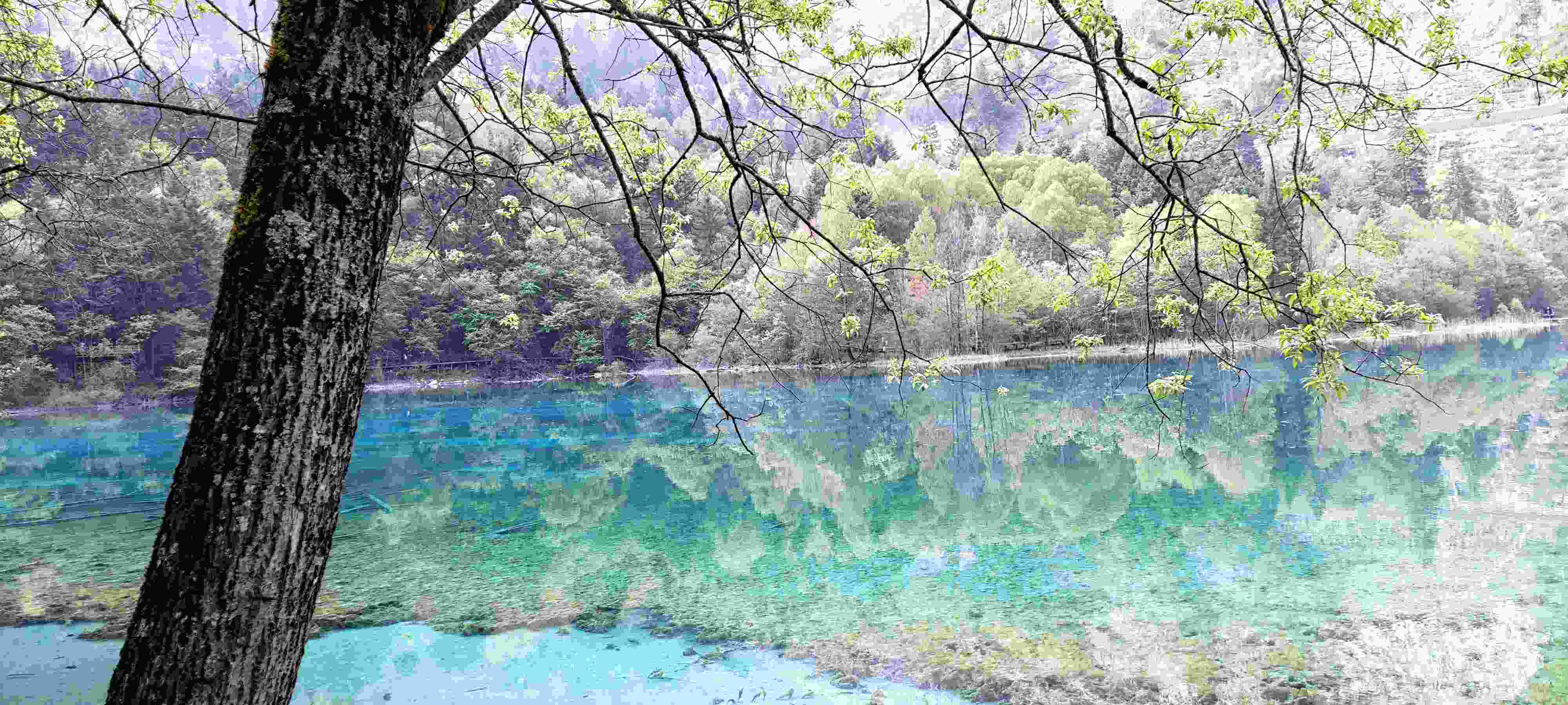 五花海-水~