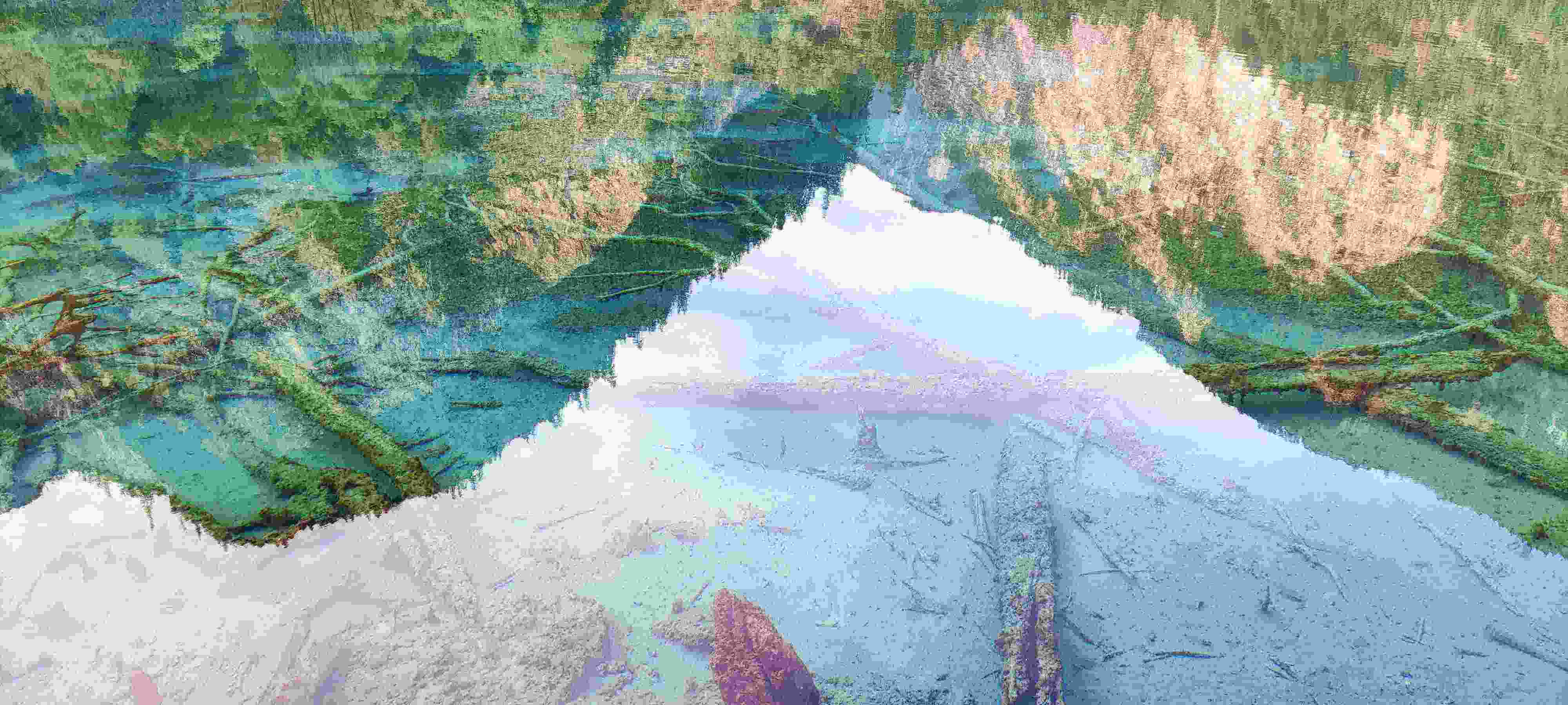 五花海-沉木~
