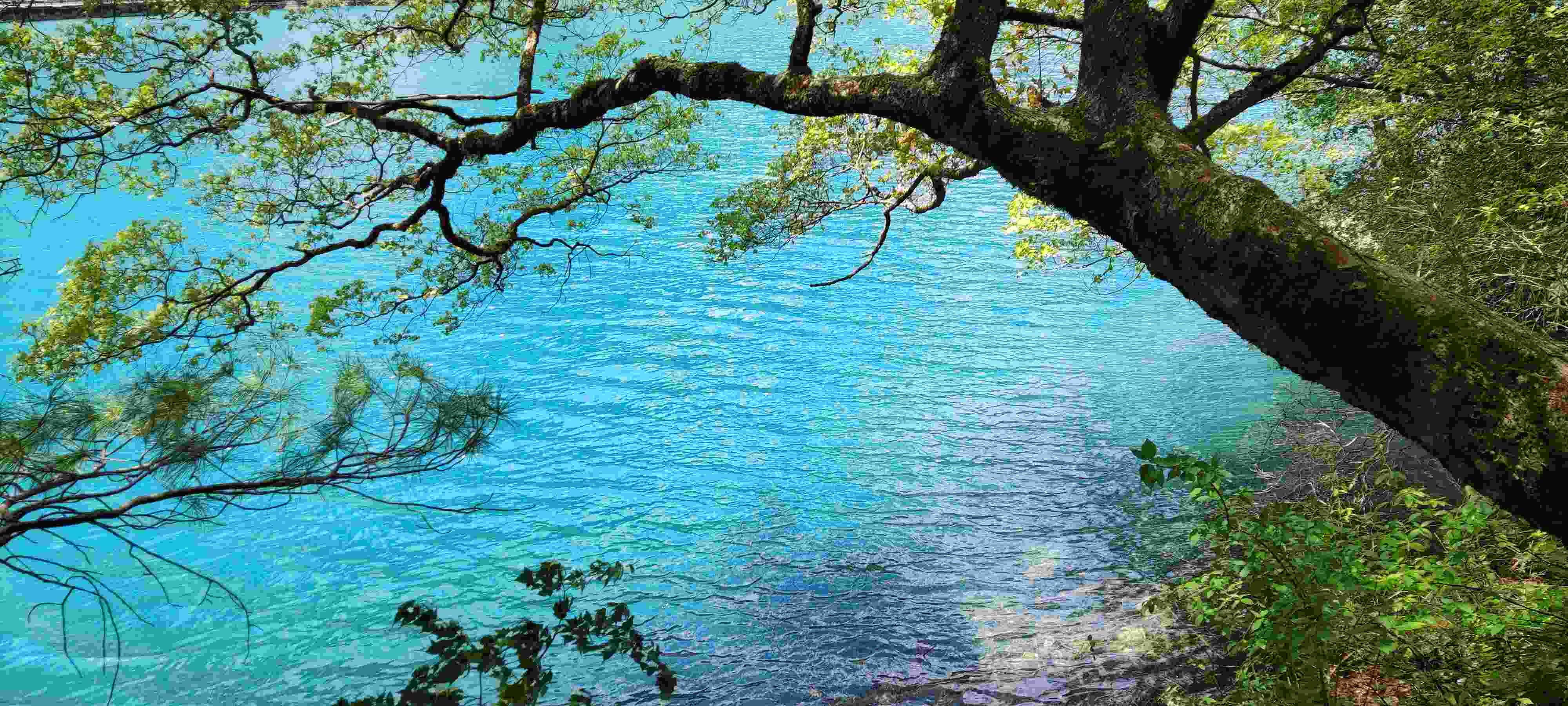 犀牛海-湖边~